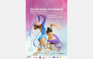 Championnat de France des ensembles fédérales A